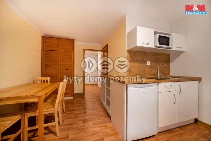 Prodej, Hotel, penzion, Bartošovice v Orlických horách