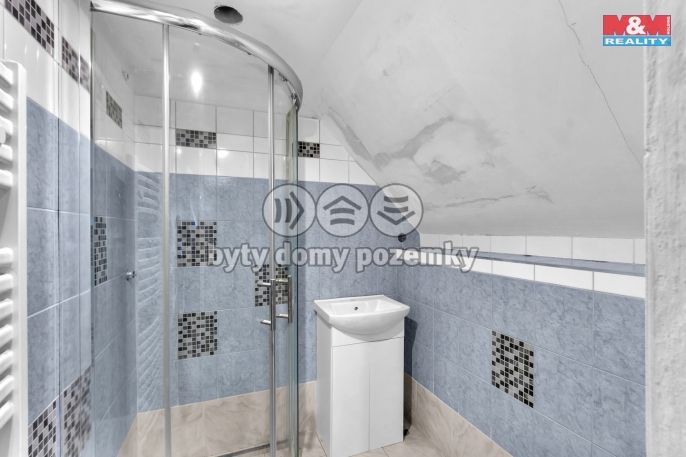 Prodej, Hotel, penzion, Rokytnice nad Jizerou