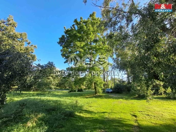 Prodej, Zahrada, Město Albrechtice