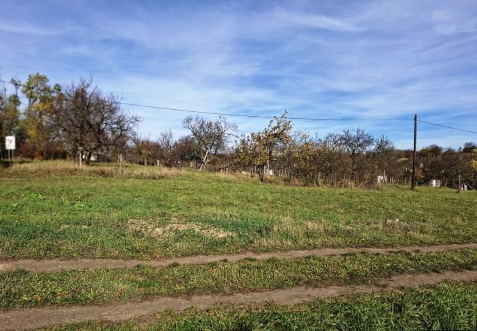 Prodej, Pozemek k bydlení, Hrušovany nad Jevišovkou