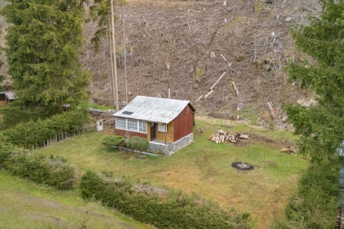 Prodej, Chata, Planá