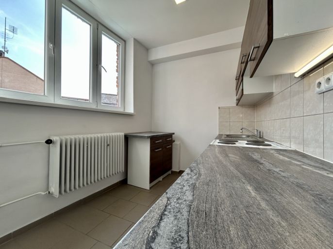 Pronájem, Byt 1+1, Švihov