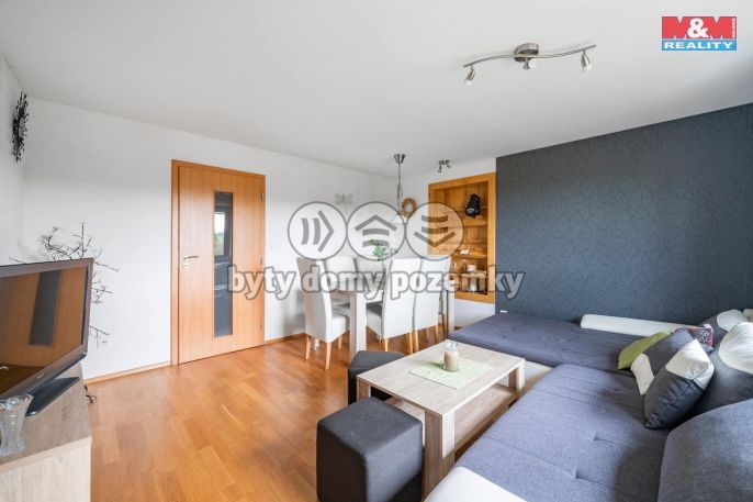 Prodej, Rodinný dům, Borová