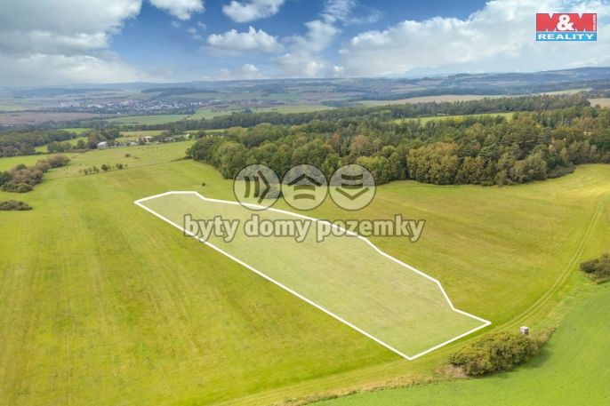 Prodej, Louka, Spálené Poříčí