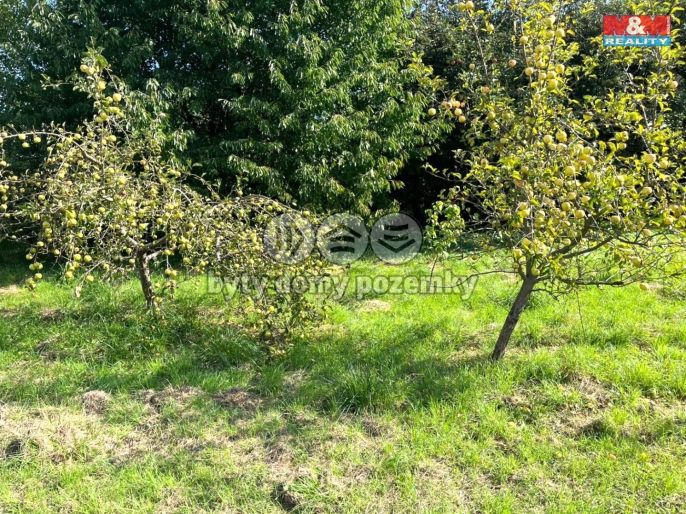 Prodej, Zahrada, Vršovice