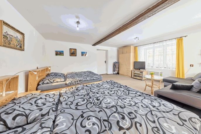 Prodej, Hotel, penzion, Teplice nad Metují