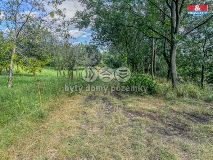 Prodej, Zahrada, Třebenice