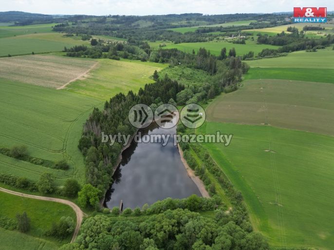 Prodej, Vodní plocha, Vílanec