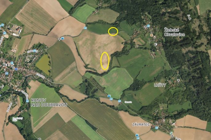 Prodej, Pole, Žlebské Chvalovice