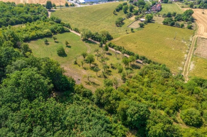 Prodej, Ovocný sad, Staré Hrady