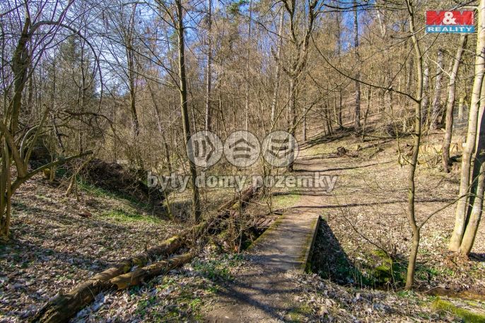 Prodej, Ostatní, Jílové u Prahy