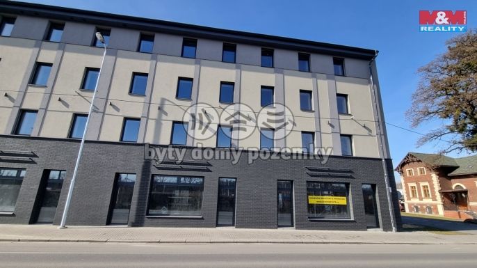 Pronájem, Obchod a služby, Český Těšín