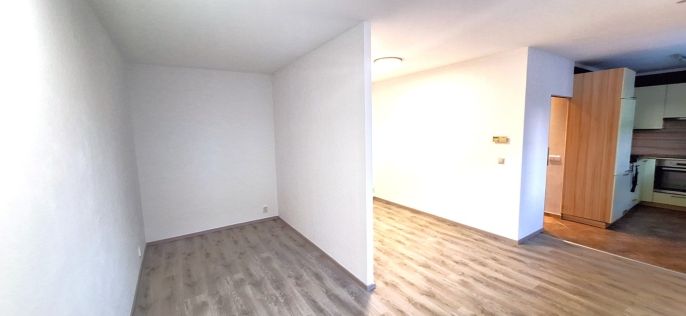 Prodej, Byt 1+kk, Davle