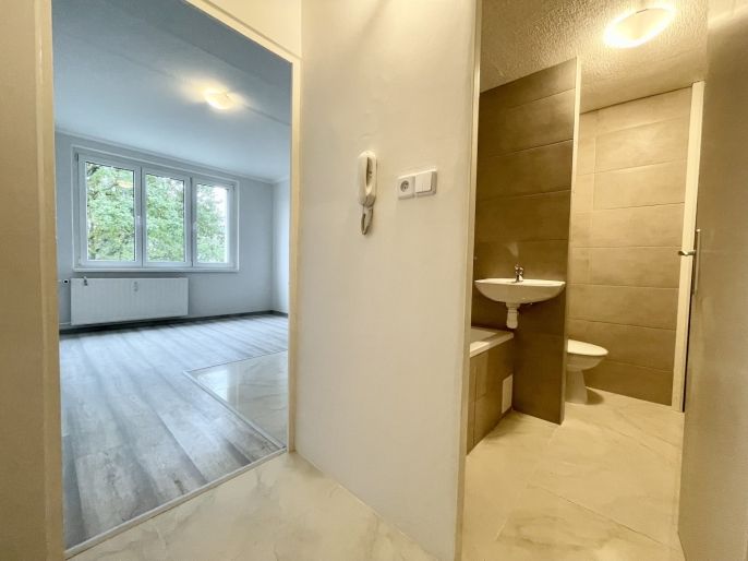 Pronájem, Byt 1+1, Sokolov