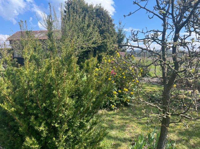 Prodej, Zahrada, Měrunice