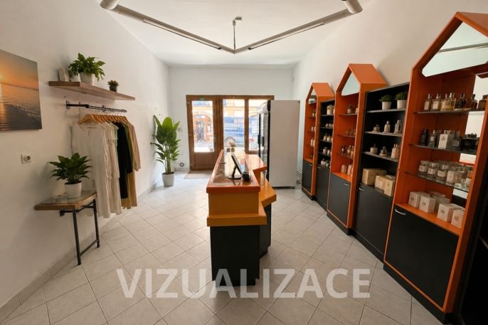 Pronájem, Obchod a služby, Slaný