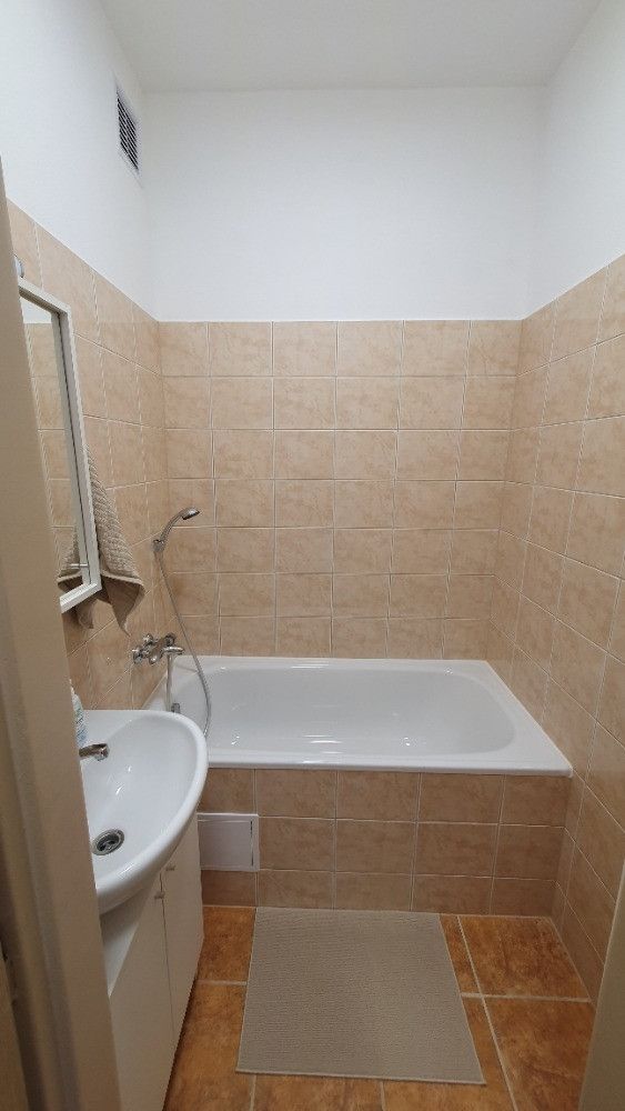 Pronájem, Byt 2+1, Plesná