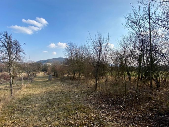 Prodej, Zahrada, Drásov