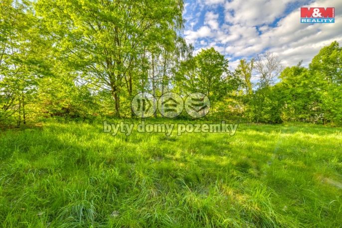 Prodej, Komerční pozemky, Skalná