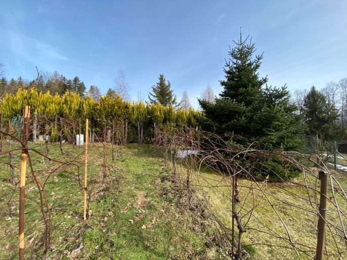 Prodej, Pole, Příbor