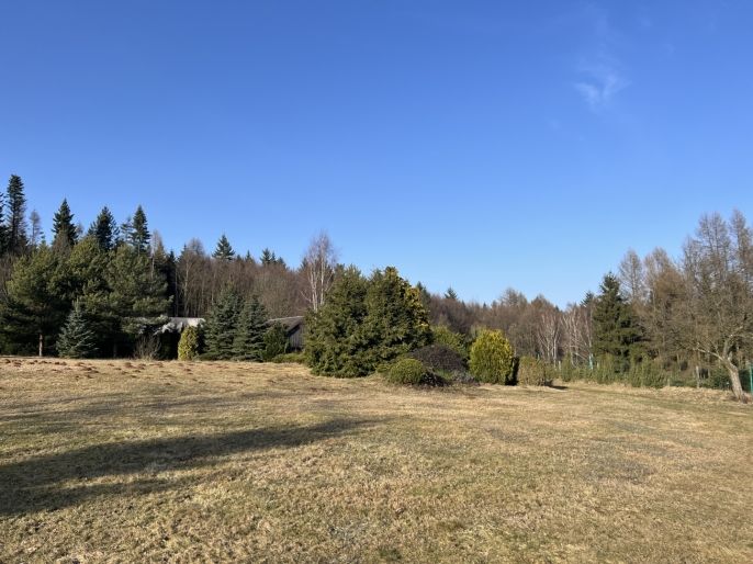 Prodej, Zahrada, Hronov