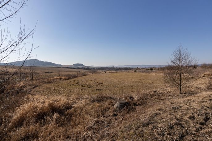 Prodej, Pozemek k bydlení, Klatovy