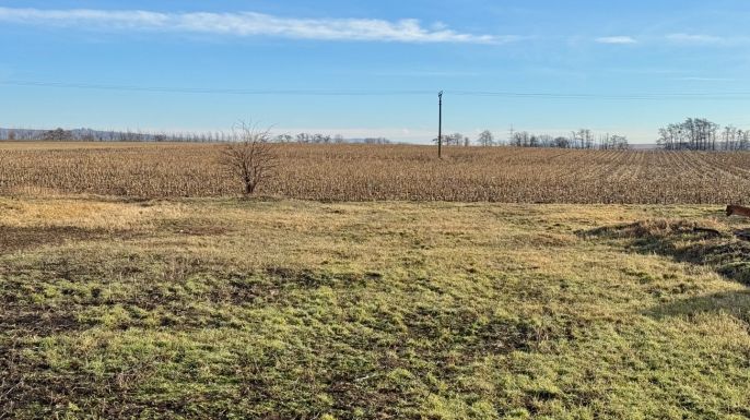 Prodej, Rodinný dům, Hrušky