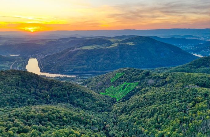 Prodej, Les, Ústí nad Labem