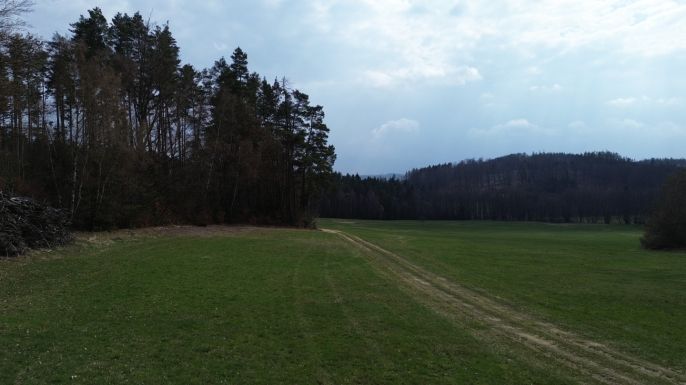 Prodej, Les, Mrákotín