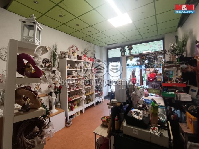 Pronájem, Obchod a služby, Ostrava