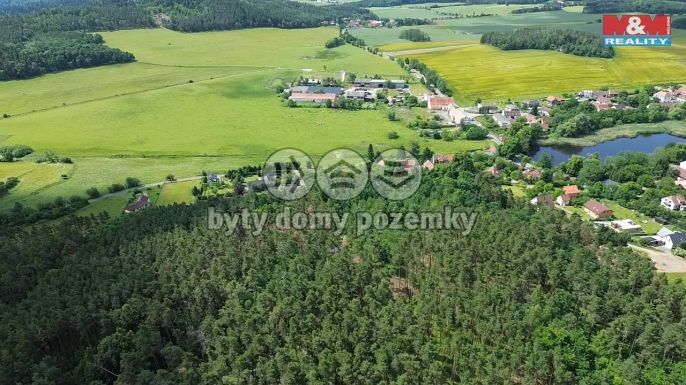 Prodej, Les, Chotilsko