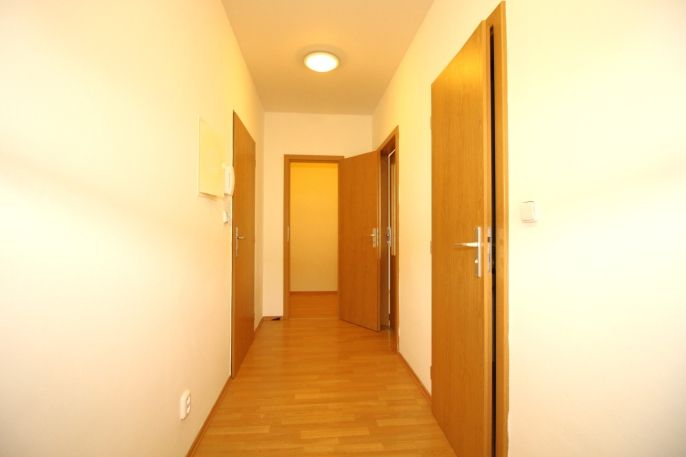 Pronájem, Byt 1+kk, Klecany