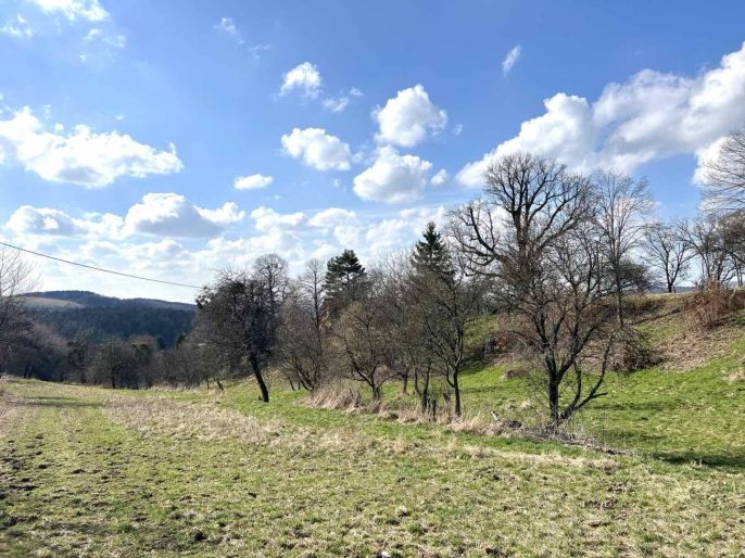 Prodej, Pastvina, Zlín