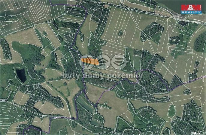 Prodej, Les, Chanovice