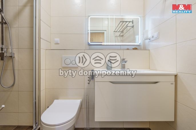 Pronájem, Byt 2+1, Nová Role