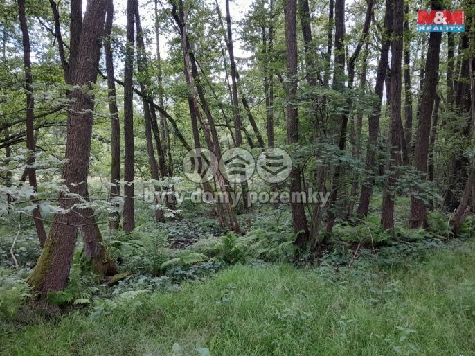 Prodej, Louka, Oselce