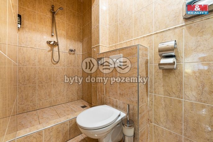 Pronájem, Byt 2+kk, Plzeň