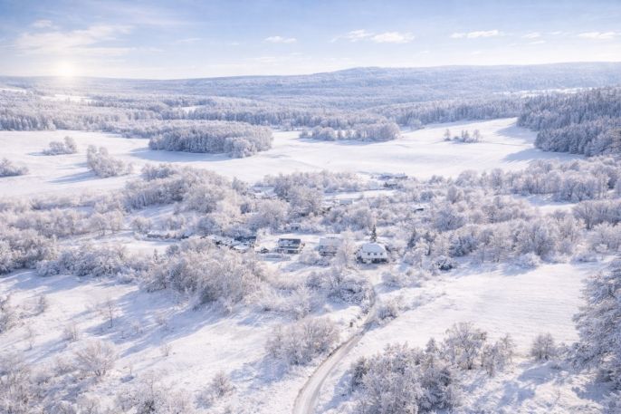 Prodej, Rodinný dům, Horní Planá