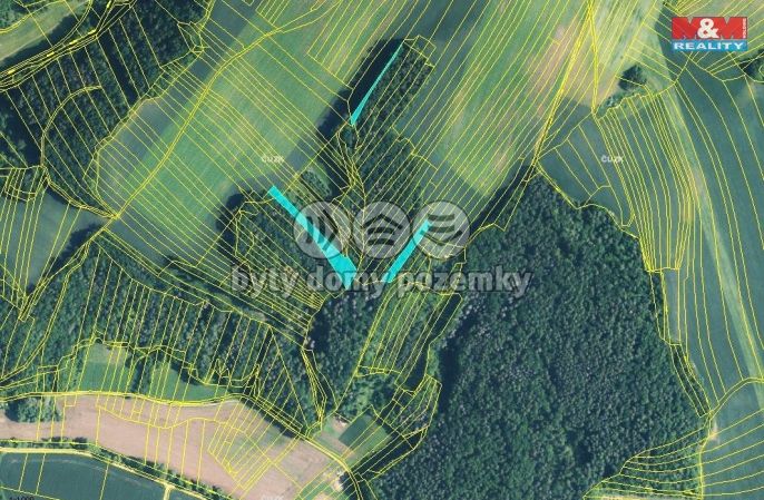 Prodej, Les, Újezd u Černé Hory