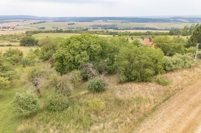Prodej, Pozemek k bydlení, Petrovice