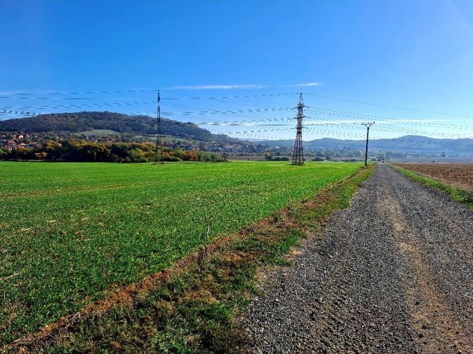 Prodej, Pole, Sentice