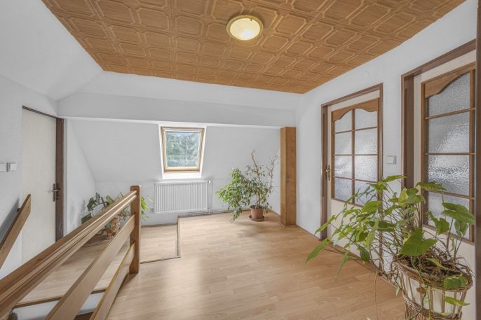 Prodej, Hotel, penzion, Rudník