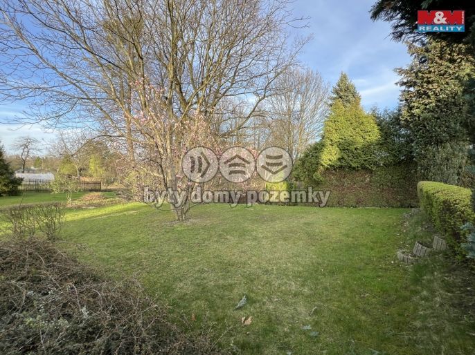 Prodej, Obchod a služby, Orlová