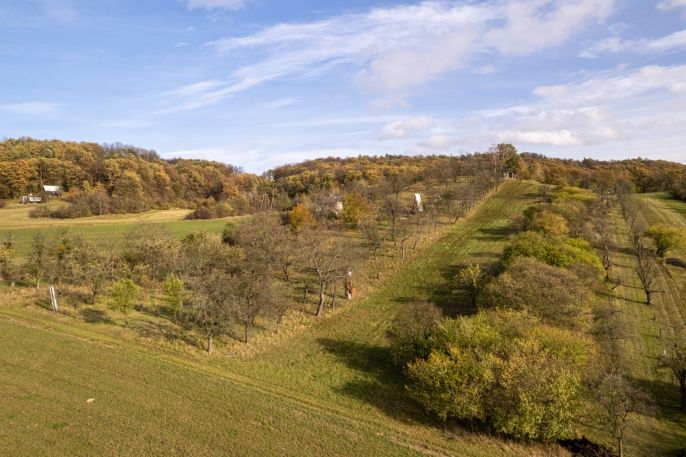 Prodej, Ovocný sad, Kostelec u Holešova