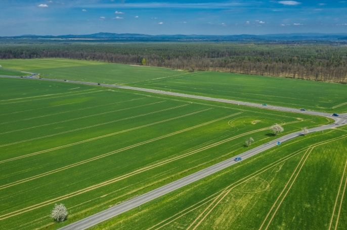 Prodej, Pole, Čistá