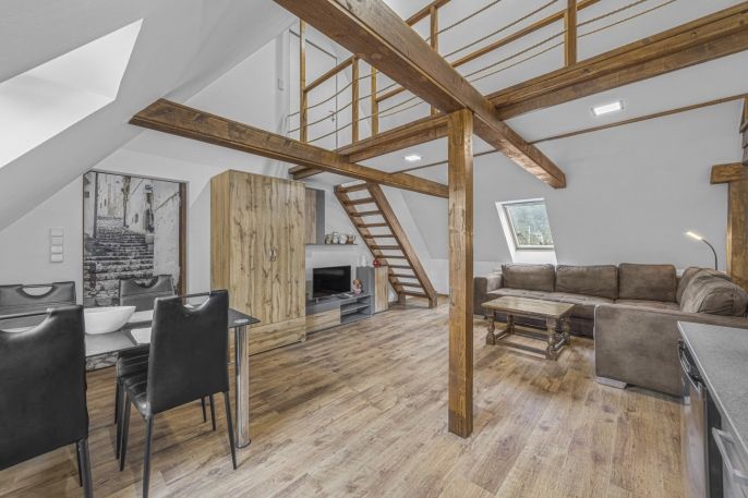 Prodej, Hotel, penzion, Rudník