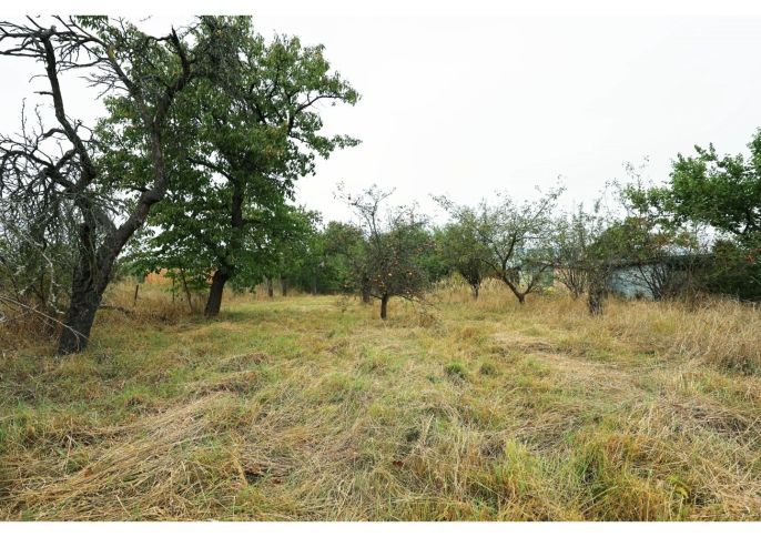 Prodej, Zahrada, Olomouc