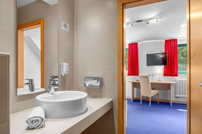 Prodej, Hotel, penzion, Geising