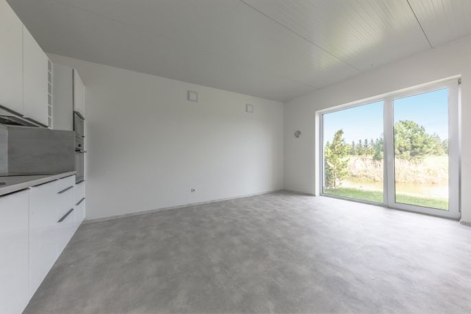 Pronájem, Ostatní, Mladá Boleslav