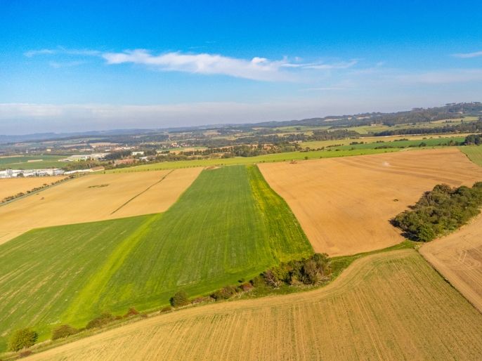 Prodej, Pole, Bystřice